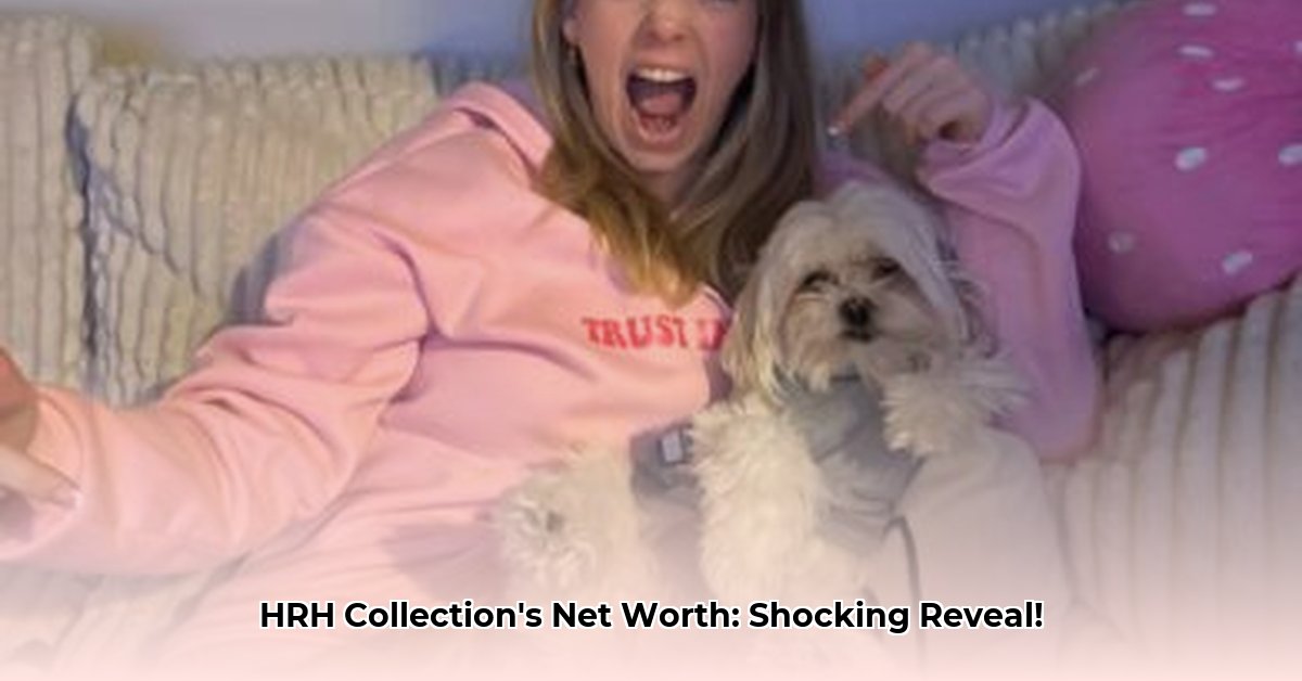 hrh-collection-net-worth